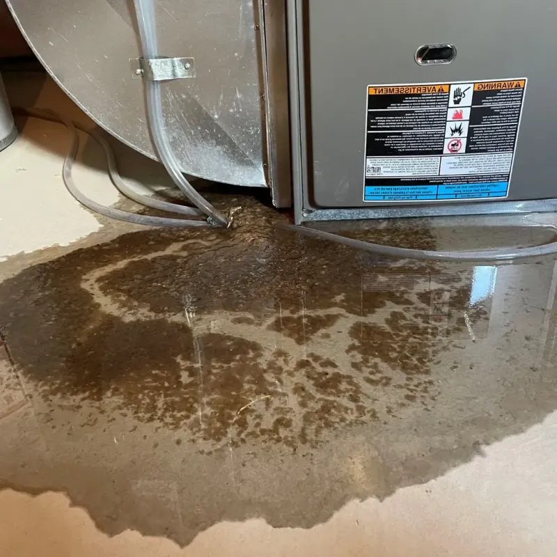 Pipe Burst and Leak Restoration in Norwich, NY